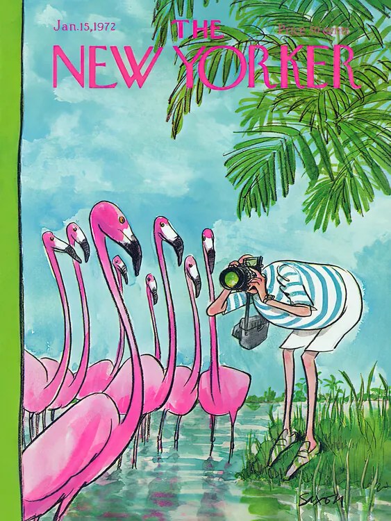 Ilustratie The NY Magazine Cover 306