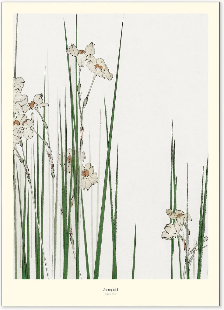 Poster Jonquil