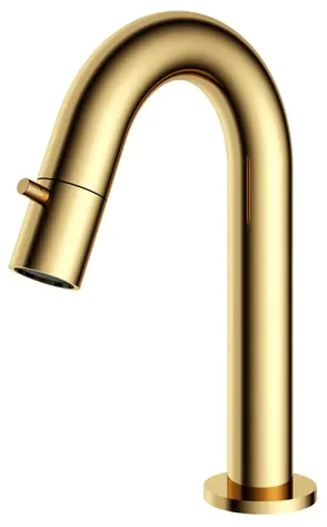 Hotbath Dude Fonteinkraan opbouw - u-uitloop 11.8cm - PVD - gepolijst messing U001NBP