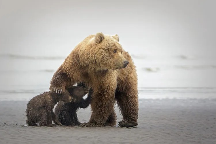 Foto Family Time, Renee Doyle