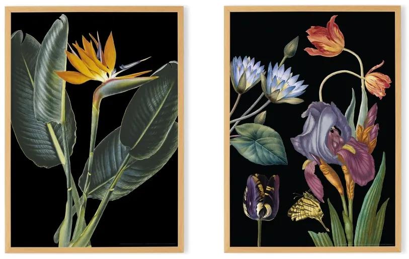 Vintage Dark Florals van het Natural History Museum set van 2 ingelijste prints A3, meerkleurig