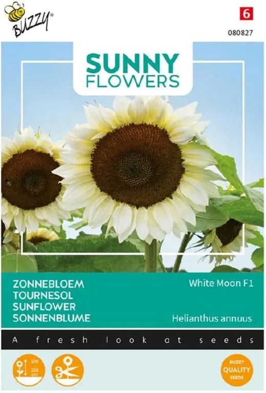 Buzzy seeds - bloemzaden - Sunny Flowers, Zonnebloem 'White Moon of Night'