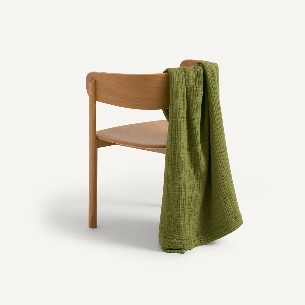 Plaid van tetra, Yafa