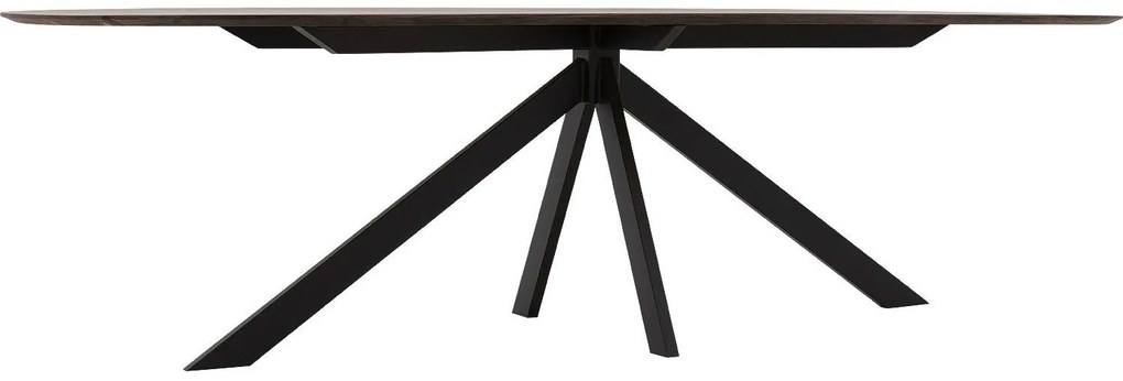 Goossens Excellent Eettafel Uniek, Semi rond 260 x 100 cm