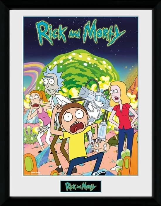 RICK & MORTY - Collector Print 30X40 - Compilation
