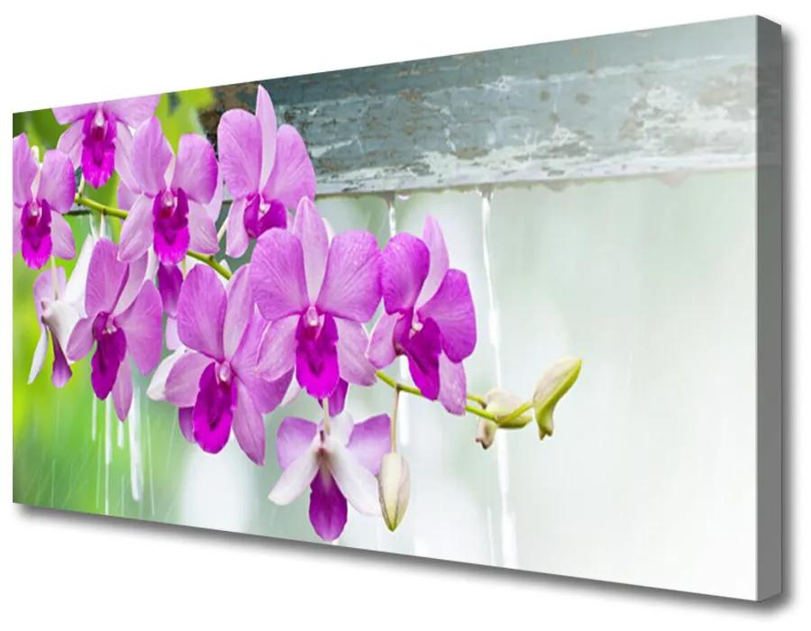 Foto op canvas Orchids nature drops 100x50 cm