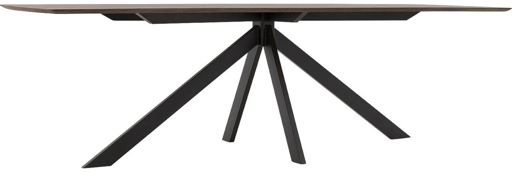 Goossens Excellent Eettafel Uniek, Semi rechthoekig 260 x 100 cm