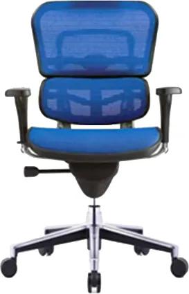 COMFORT bureaustoel Ergohuman Classic (zonder hoofdsteun) - Blauw