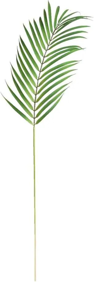 Chamaedorea tak - groen - 75 cm - Leen Bakker