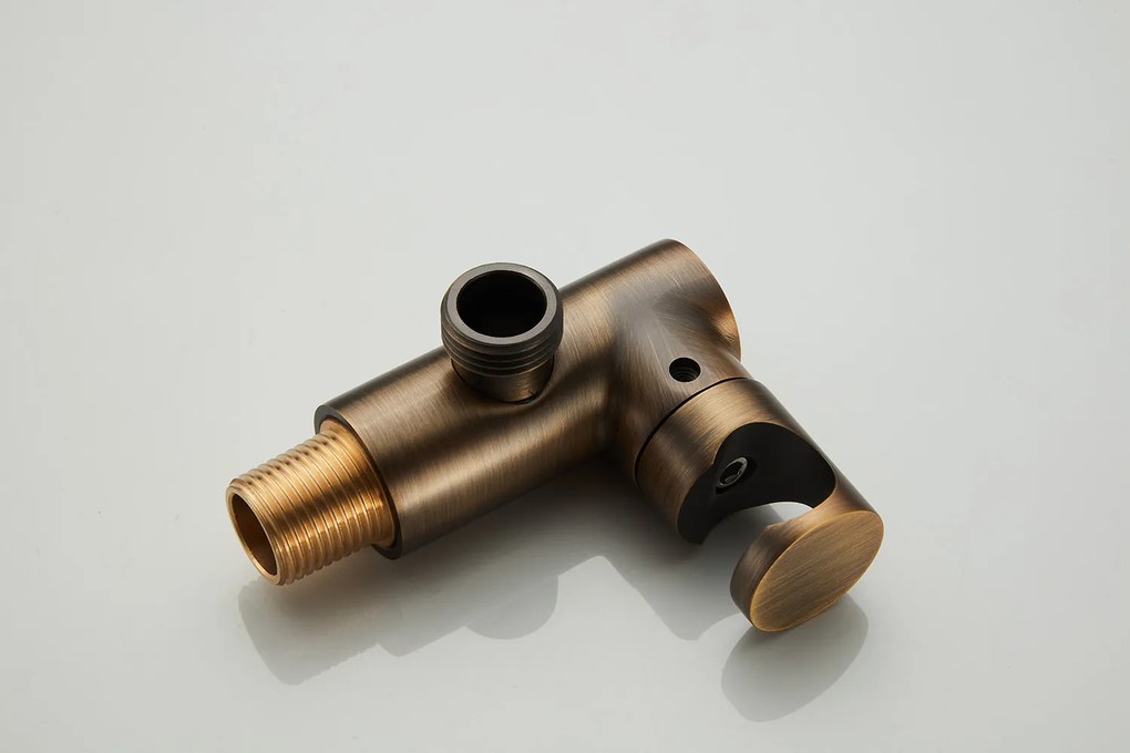 Saniclear Plus draaibare handdouche houder met wateraansluiting verouderd messing