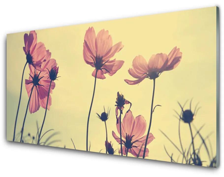 Plexiglas schilderij Bloemen plant nature 100x50 cm