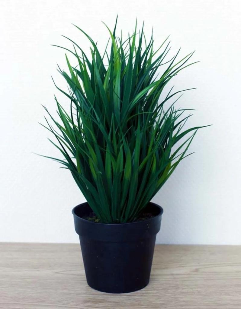 Plant in pot Elin groen middel