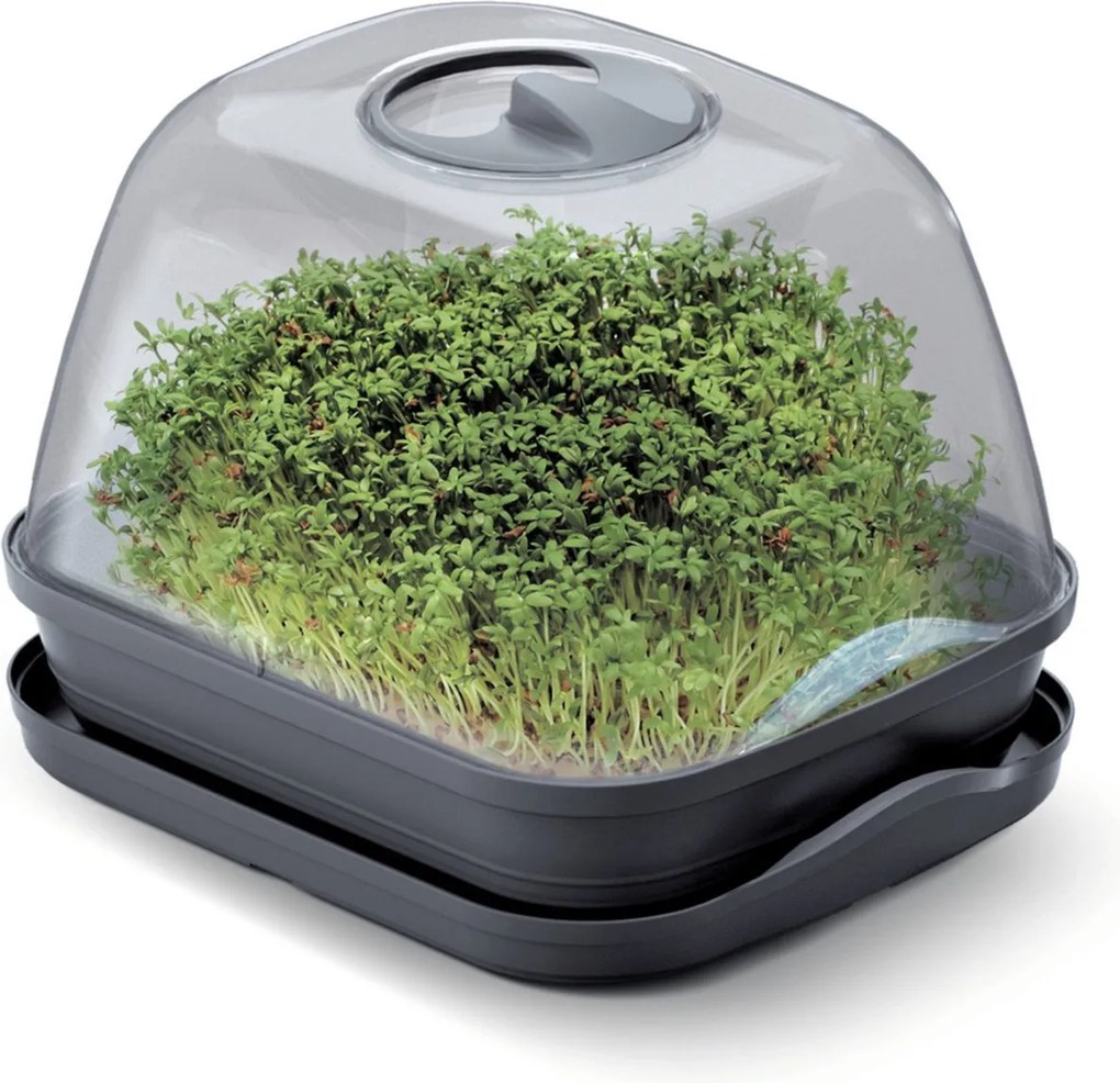 Prosperplast Respana Table Greenhouse - Kweekbak met deksel - 25,7 x 19,6 cm - Antraciet