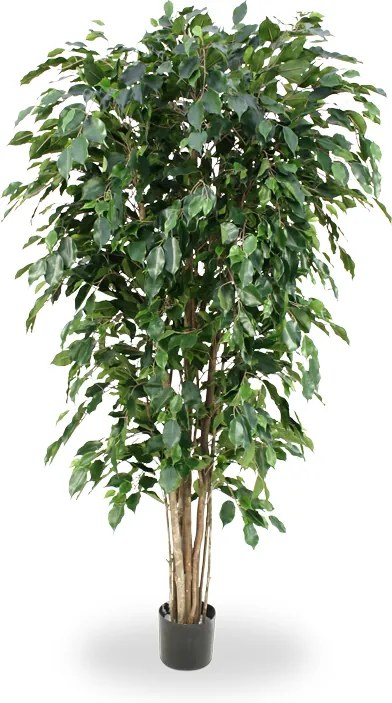 Brandvertragende Ficus Exotica Deluxe kunstplant 180 cm groen FR