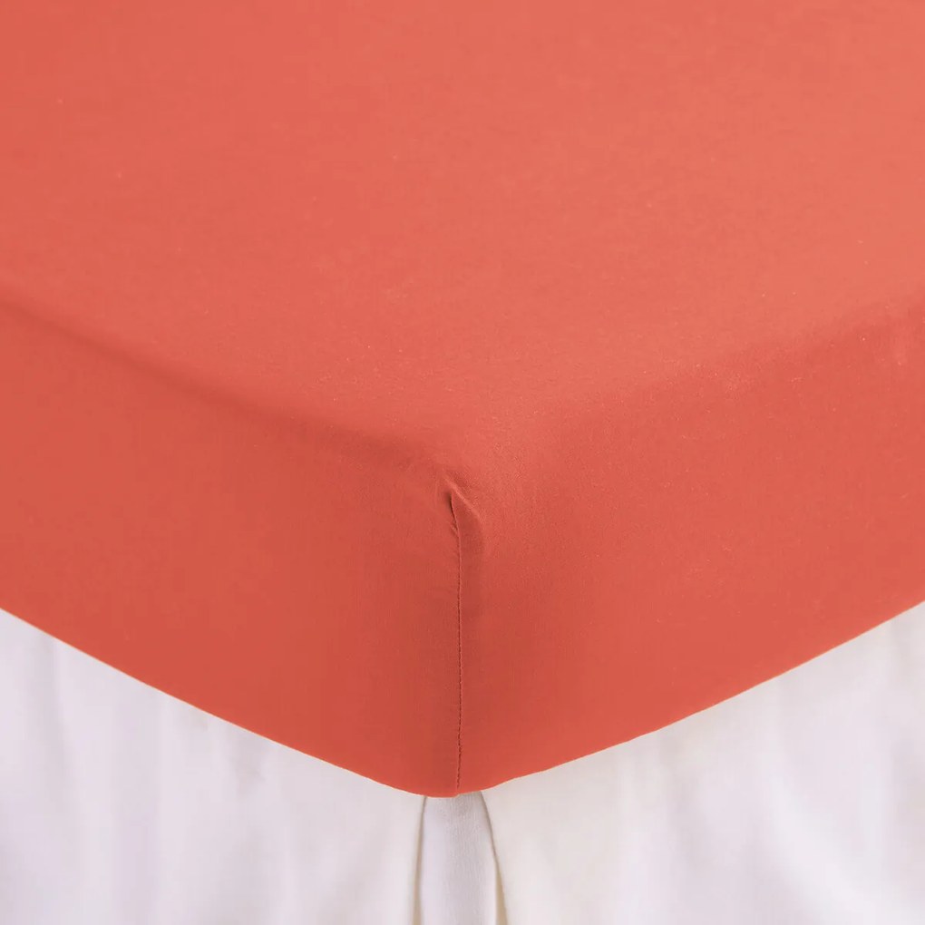 Effen hoeslaken in gewassen katoen, omslag 30 cm, Scenario