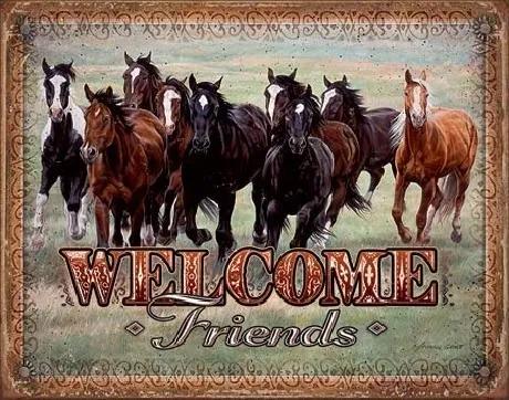Metalen wandbord WELCOME - HORSES - Friends, (40 x 31.5 cm)