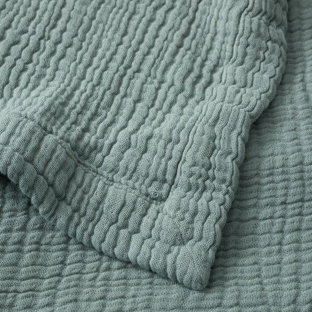 Plaid van tetra, Yafa