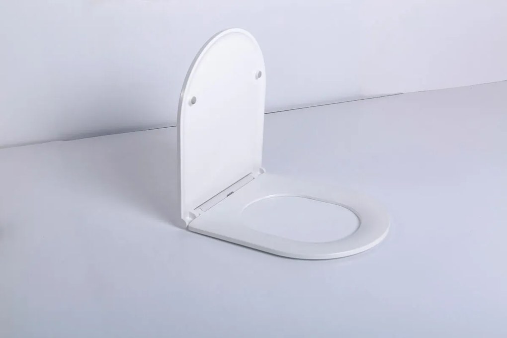 SaniGoods Acora toilet met bidet sproeier koud water en zitting