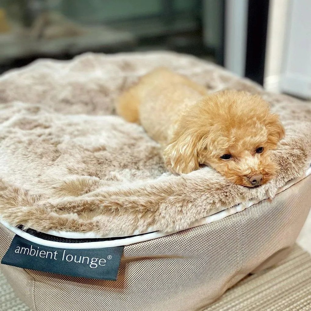 Pet Bed Indoor/Outdoor Cappuccino - Small