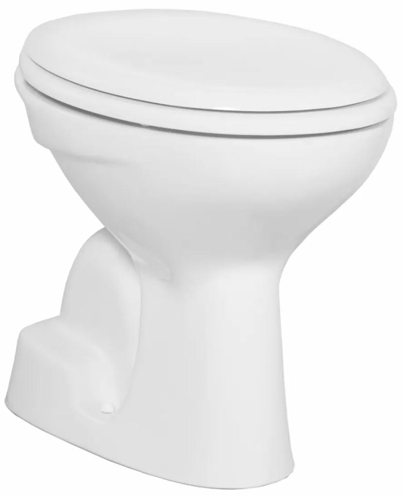 Sanigoods Goos staand toilet wit glans AO