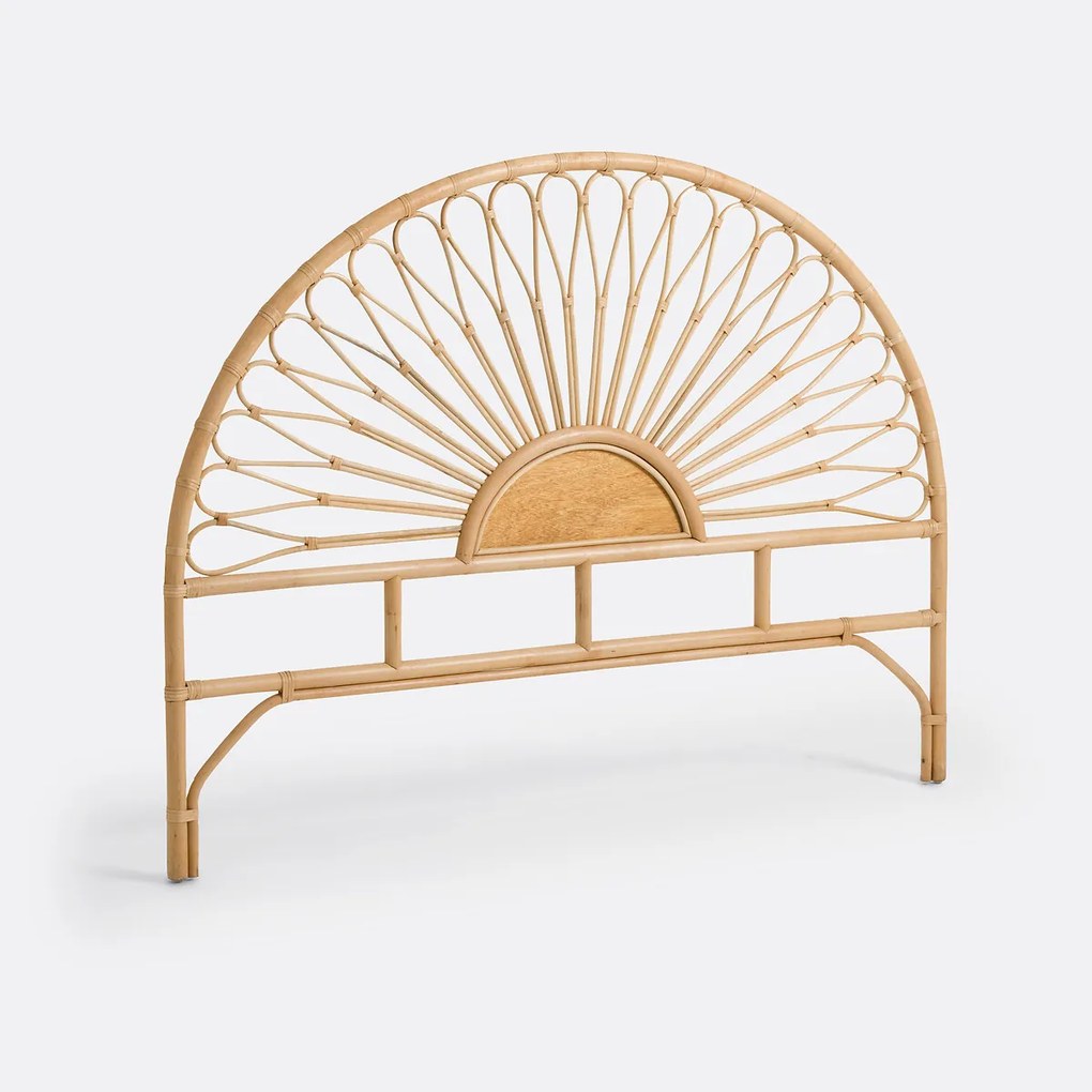 Rotan hoofdbord, TIO