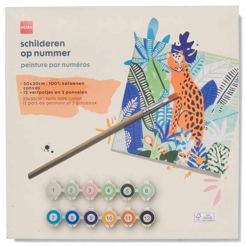 HEMA Schilderen Op Nummer Canvas 30x30