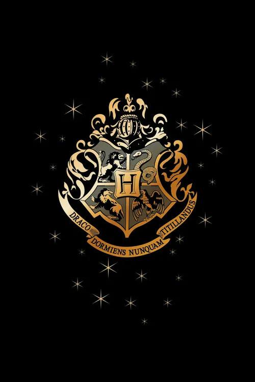 Kunstafdruk Hogwarts Golden Emblem, (26.7 x 40 cm)