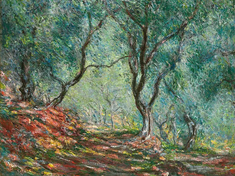 Kunstreproductie Olive Trees in the Moreno Garden (1884), Claude Monet