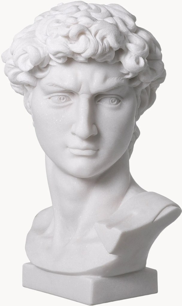 Decoratief object Head David van marmer