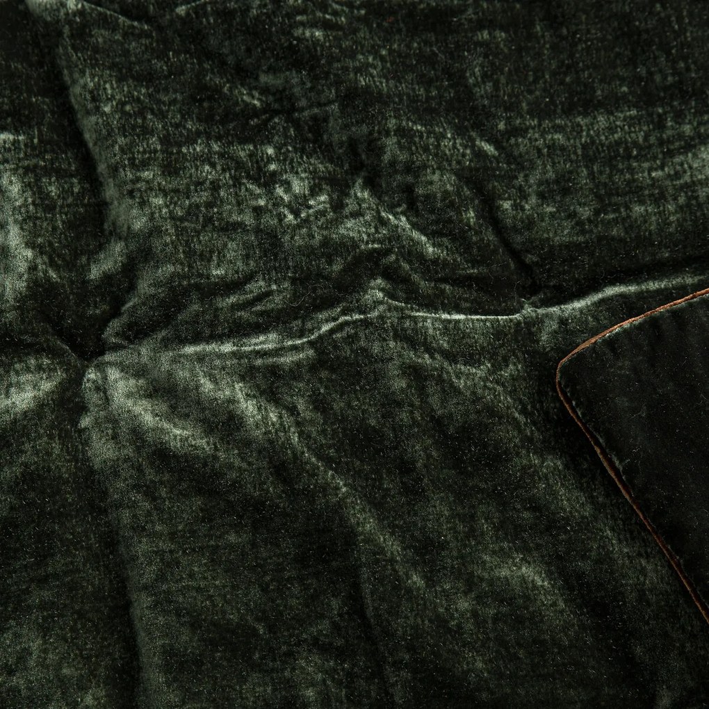 Fluwelen dekbed, Vezina