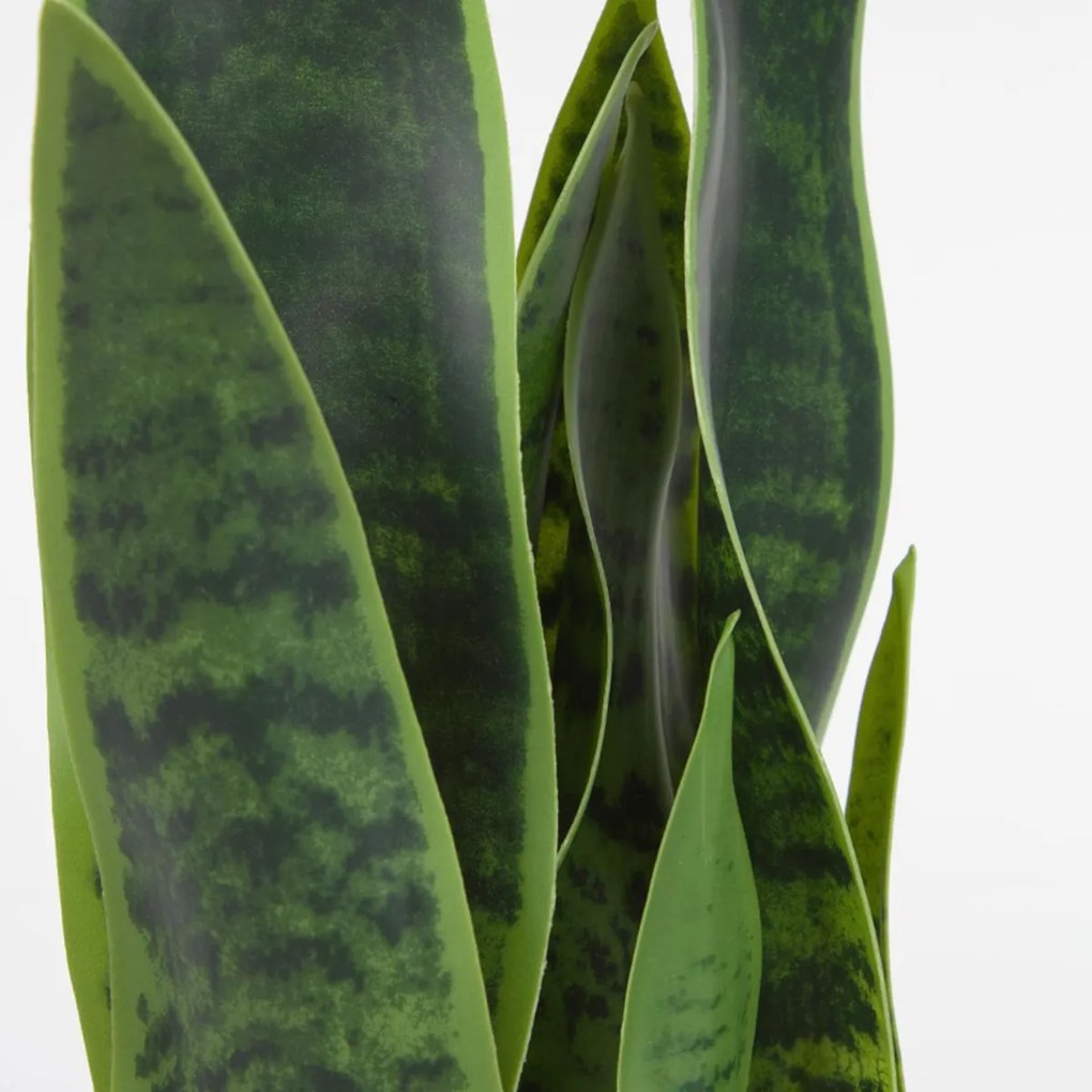 Kave Home Sansevieria Kunstplant Vrouwentong 55 Cm