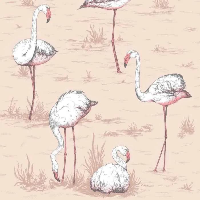 Cole & Son Flamingos behang Ballet Slipper