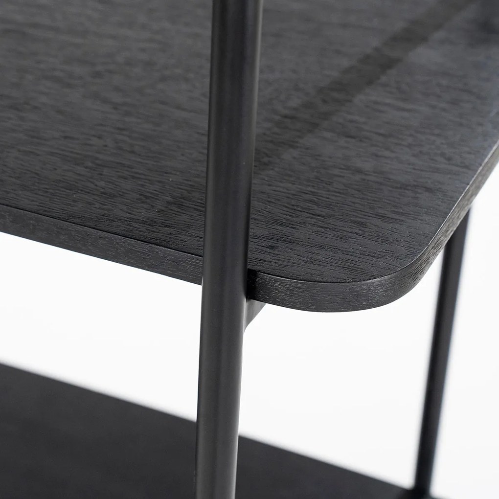 Eleonora James Smalle Stellingkast Zwart Mangohout - 96x46x210cm.