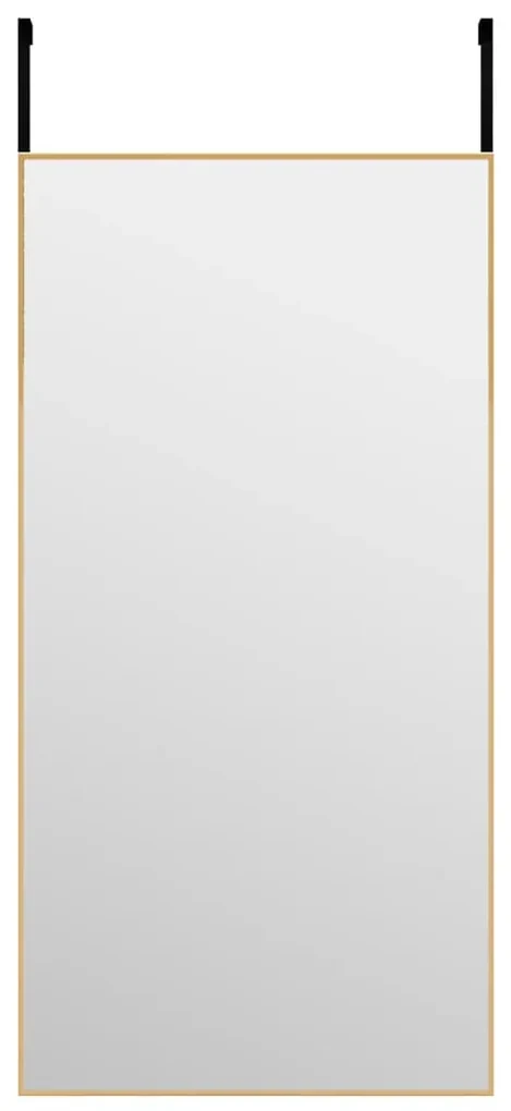 vidaXL Deurspiegel 40x80 cm glas en aluminium goudkleurig