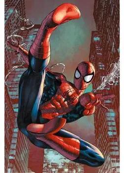 Posters Rood Spiderman  Taille unique