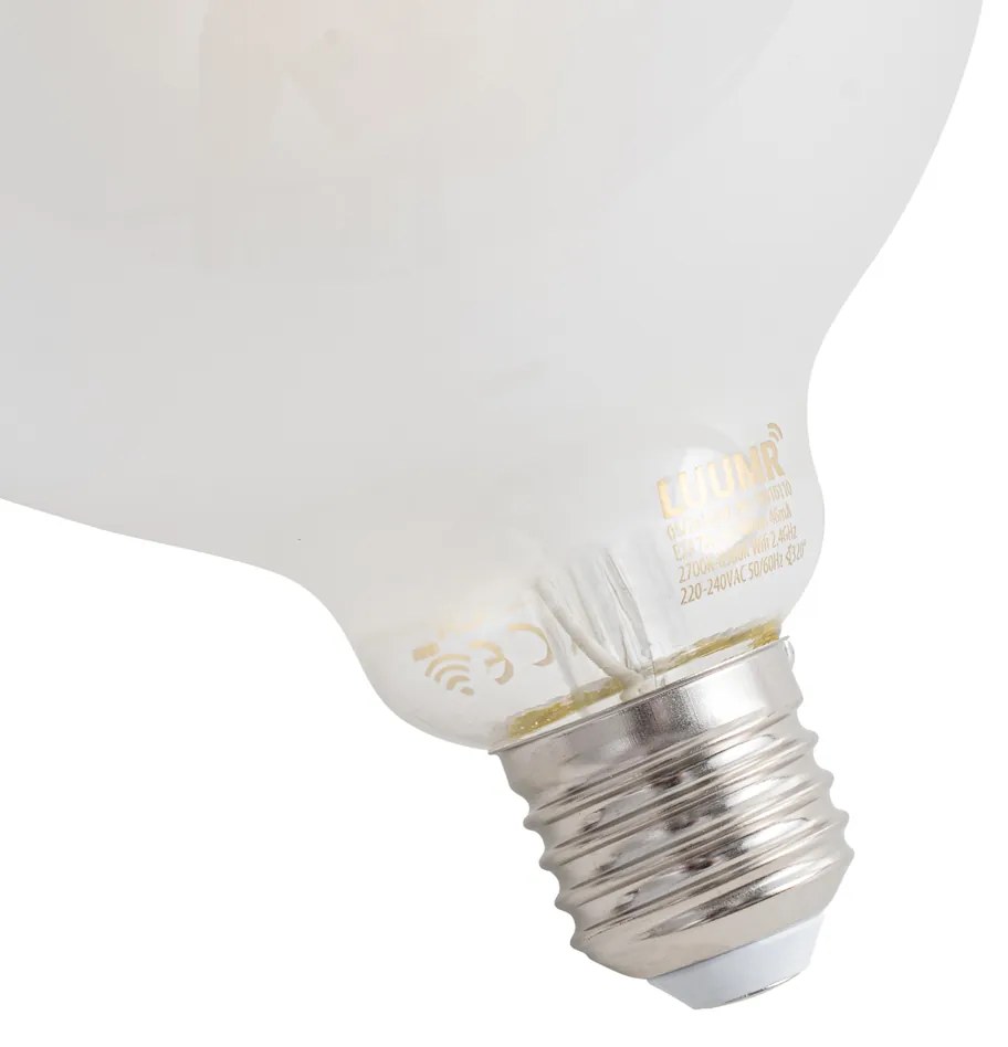 Set van 5 Smart E27 dimbare LED lampen G125 mat 7W 806 lm 2700-6500K