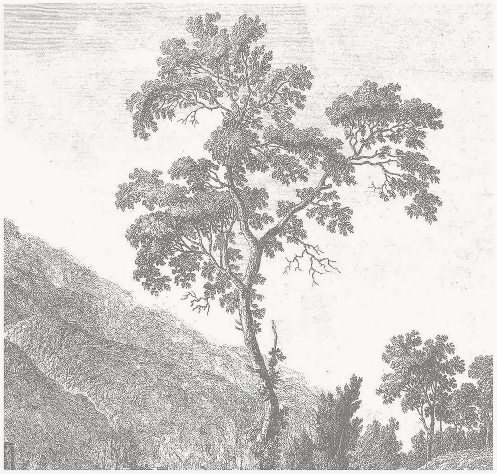 Vliesbehang Engraved Landscapes I