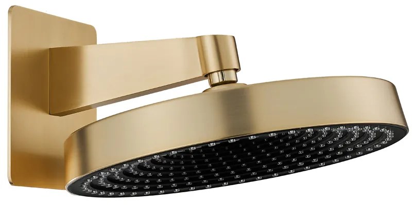Saniclear Evolution hoofddouche 30cm met wandbevestiging geborsteld messing