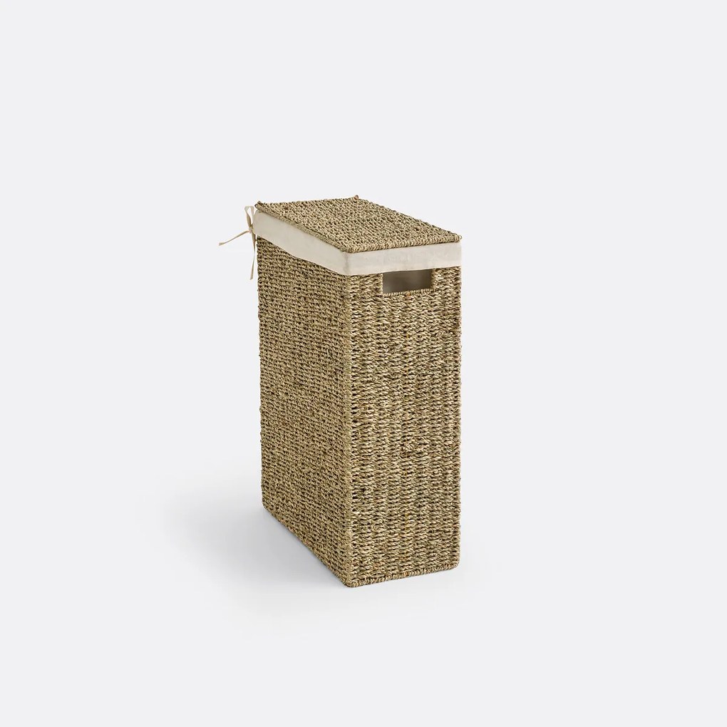 Smalle linnenmand in herbarium, Spacio