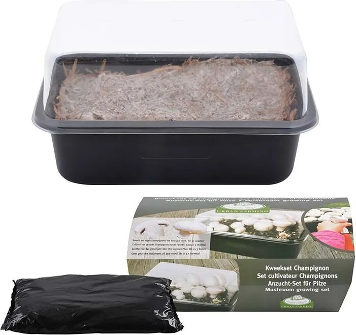 Esschert Design kweekset Champignon