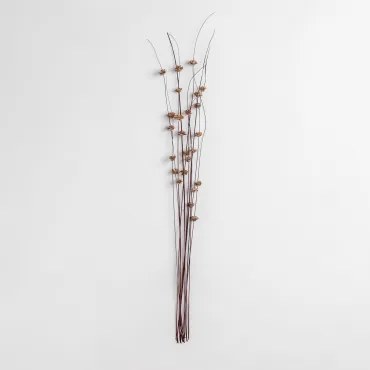 Pack Van 10 Decoratieve Gedroogde Takken Zinia Bruin - Sklum