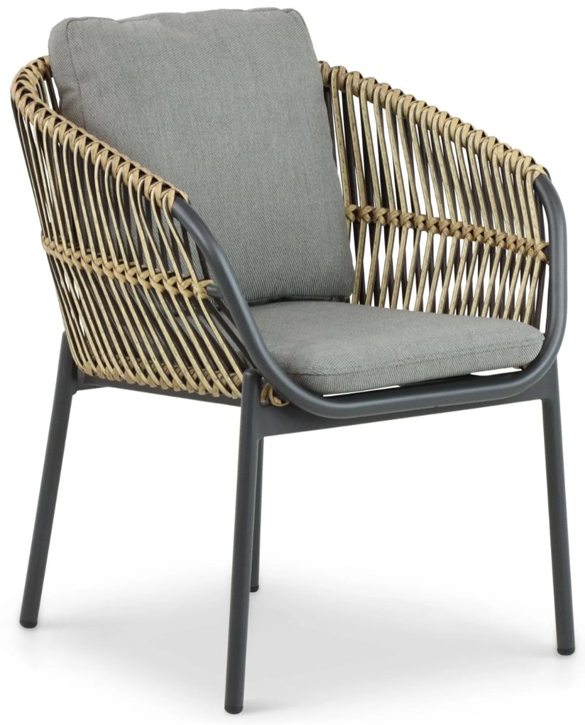 Tuinset 4 personen 180 cm Aluminium/wicker Taupe Coco Nathan/Vienna