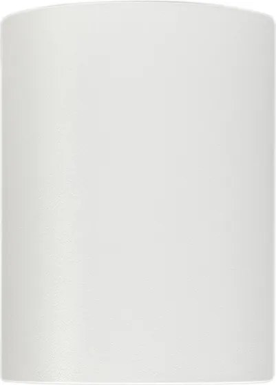 Smart opbouwspot wit en staal kantelbaar incl. Wifi GU10 - Rondoo up