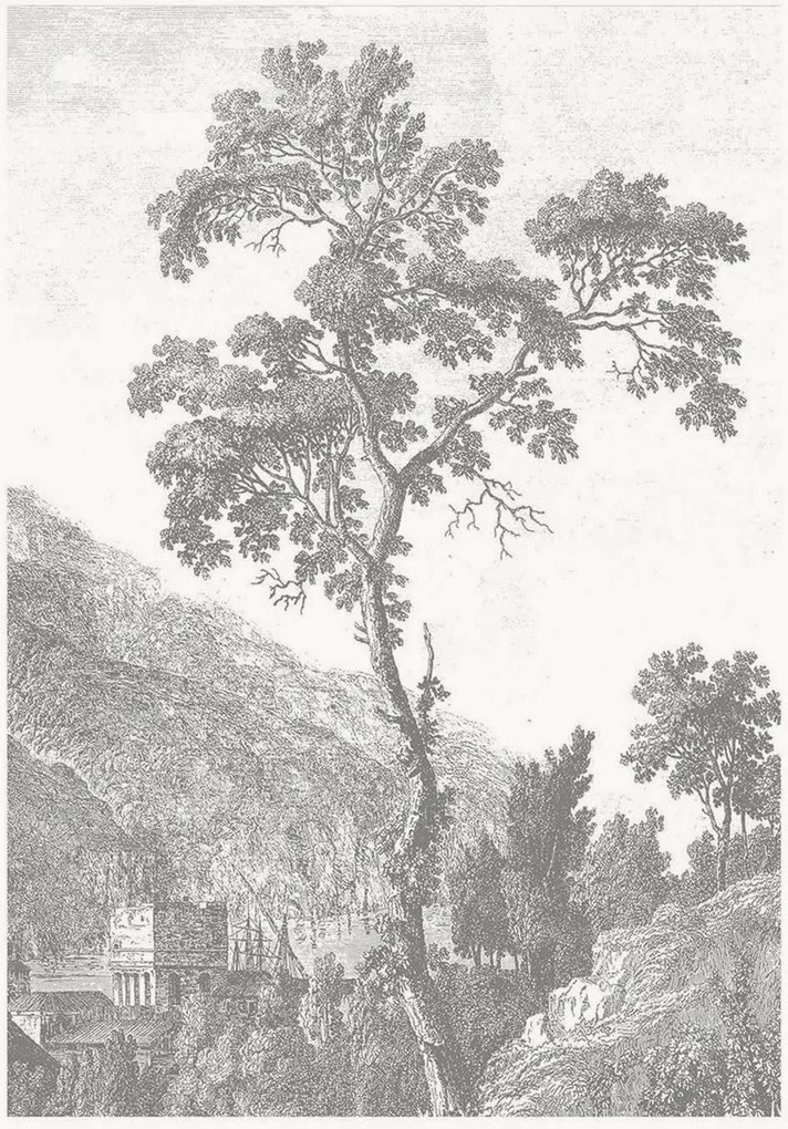 Vliesbehang Engraved Landscapes I