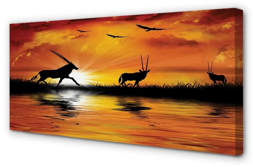 Schilderijen op canvas doek Vogels west lake 100x50 cm