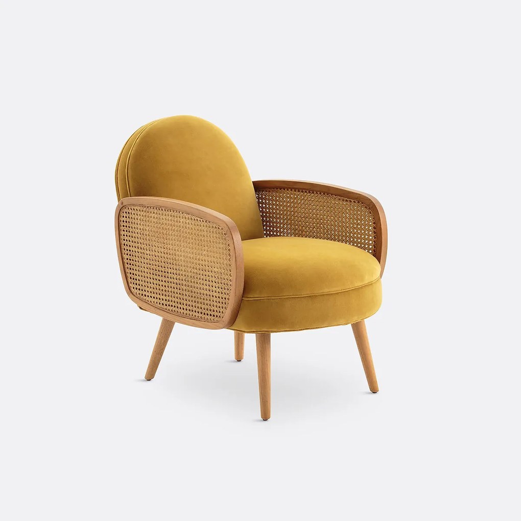 Fauteuil fluweel, Buisseau