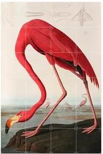 Teylers Museum Flamingo Wandsysteem 80 x 120 cm