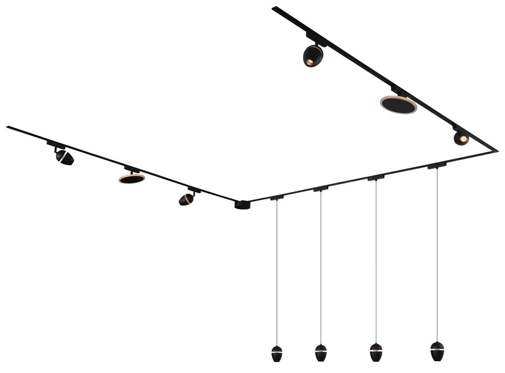 Railsysteem met 10 lampen zwart 1-fase - Magnetic Eggy Puk
