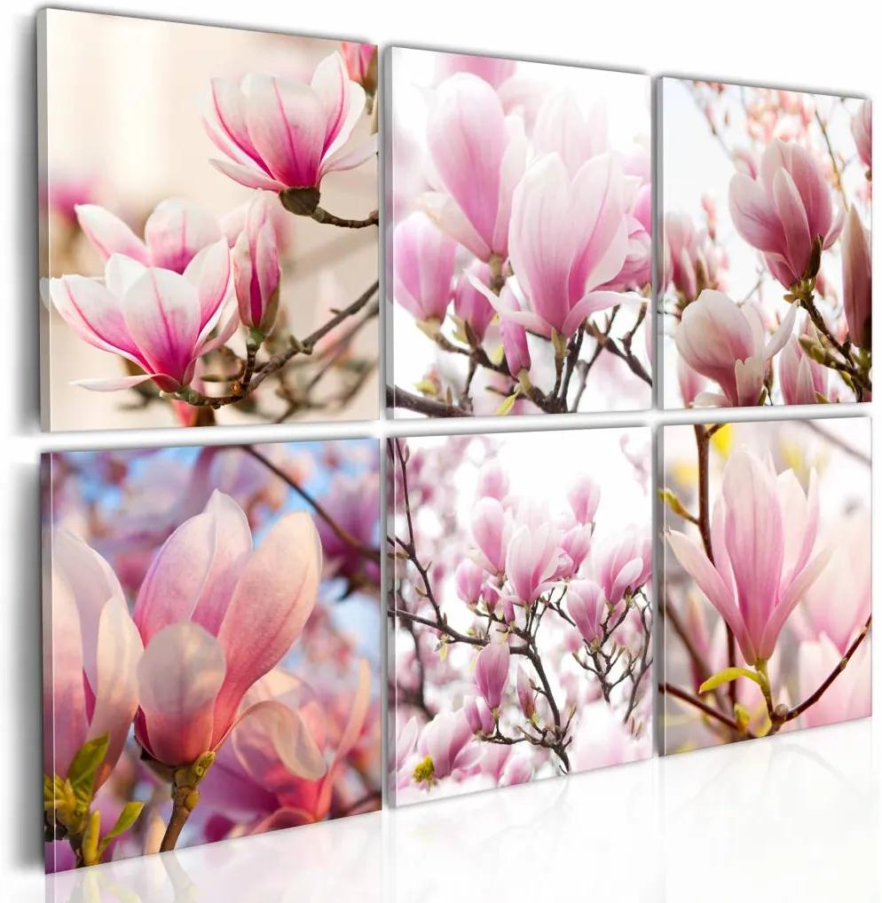 Schilderij - Zuidelijke magnolia's , wit roze , 6 luik