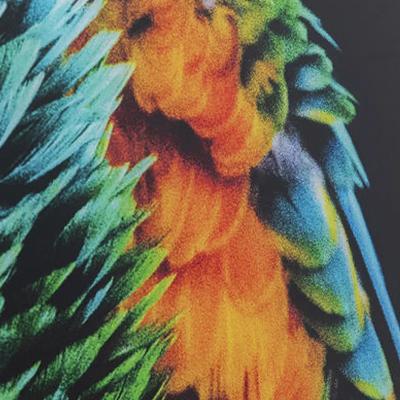 Kare Design Tropical Parrot Glas Schilderij Papegaai